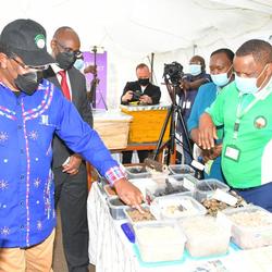 MOEF CS Keriako Tobiko view some forest products on display.jpeg