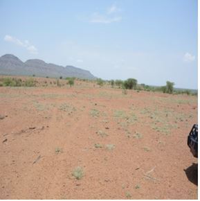 degraded land.jpg
